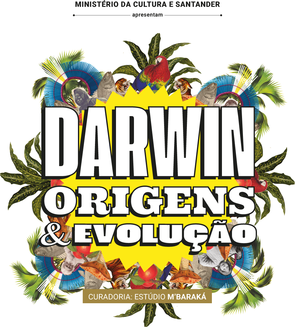 Sobre um círculo dentado amarelo, centralizado, em letras maiúsculas espessas brancas, “DARWIN ORIGENS & EVOLUÇÃO”. As palavras estão posicionadas uma abaixo da outra, em tamanho decrescente.  O título está emoldurado nos vértices por quatro cocares de canudos Kayapó nas cores azul, amarela e branca. Ao redor deles, elementos da fauna e flora brasileiras: cabeça de araras, felinos, peixes, folhagens, folhas de palmeiras e os rostos de uma mulher negra, uma criança indígena e um homem de cabelo e barba brancos. Na borda inferior, em um retângulo marrom claro com letras brancas em caixa alta, CURADORIA: ESTÚDIO M’BARAKA.